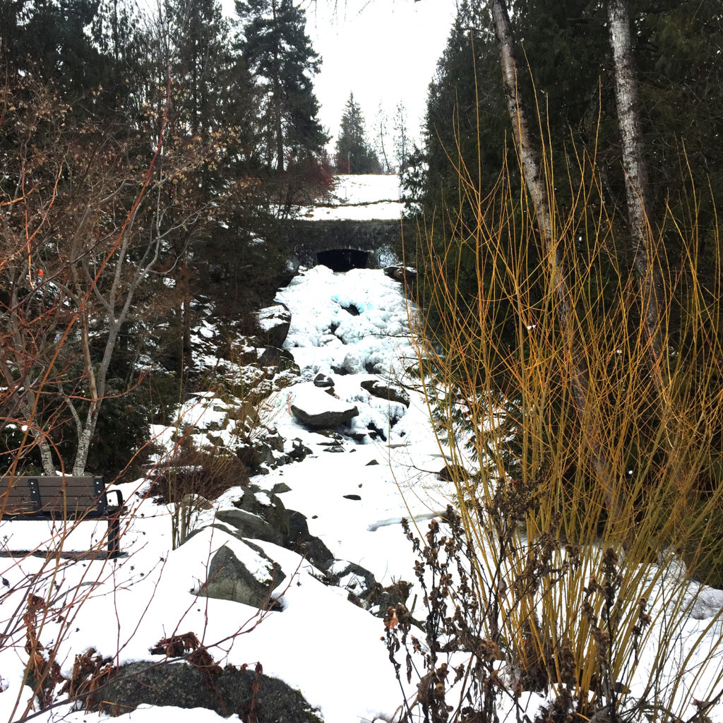 cottonwood falls Scrawl Place