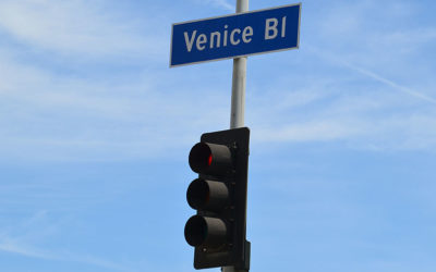 Venice Boulevard, March 2019