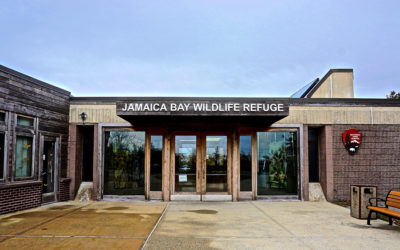 At Jamaica Bay Wildlife Refuge