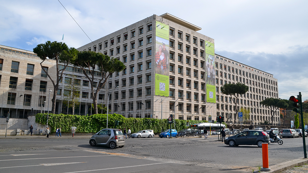 The red light at the crossroads in front of the FAO in Rome will last four full minutes