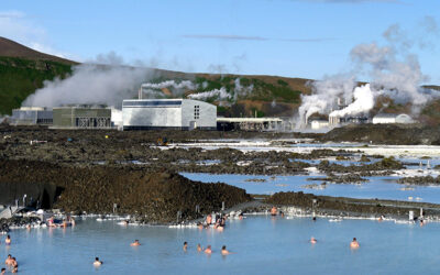 Itchy in Iceland