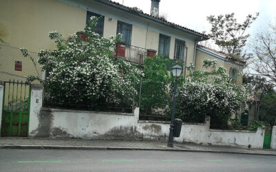 An Invitation to Velintonia, Half a Century Late