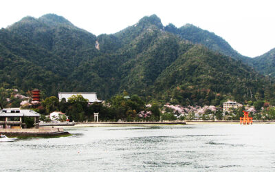 The Home of the Orange-Striped Anemone