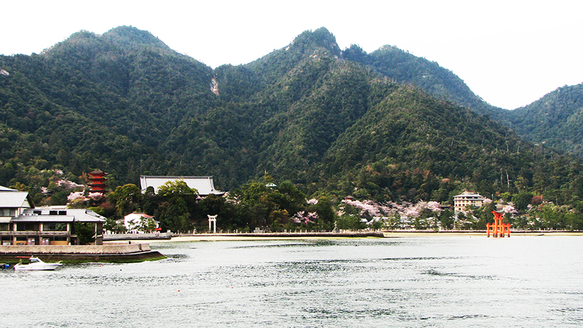 The Home of the Orange-Striped Anemone